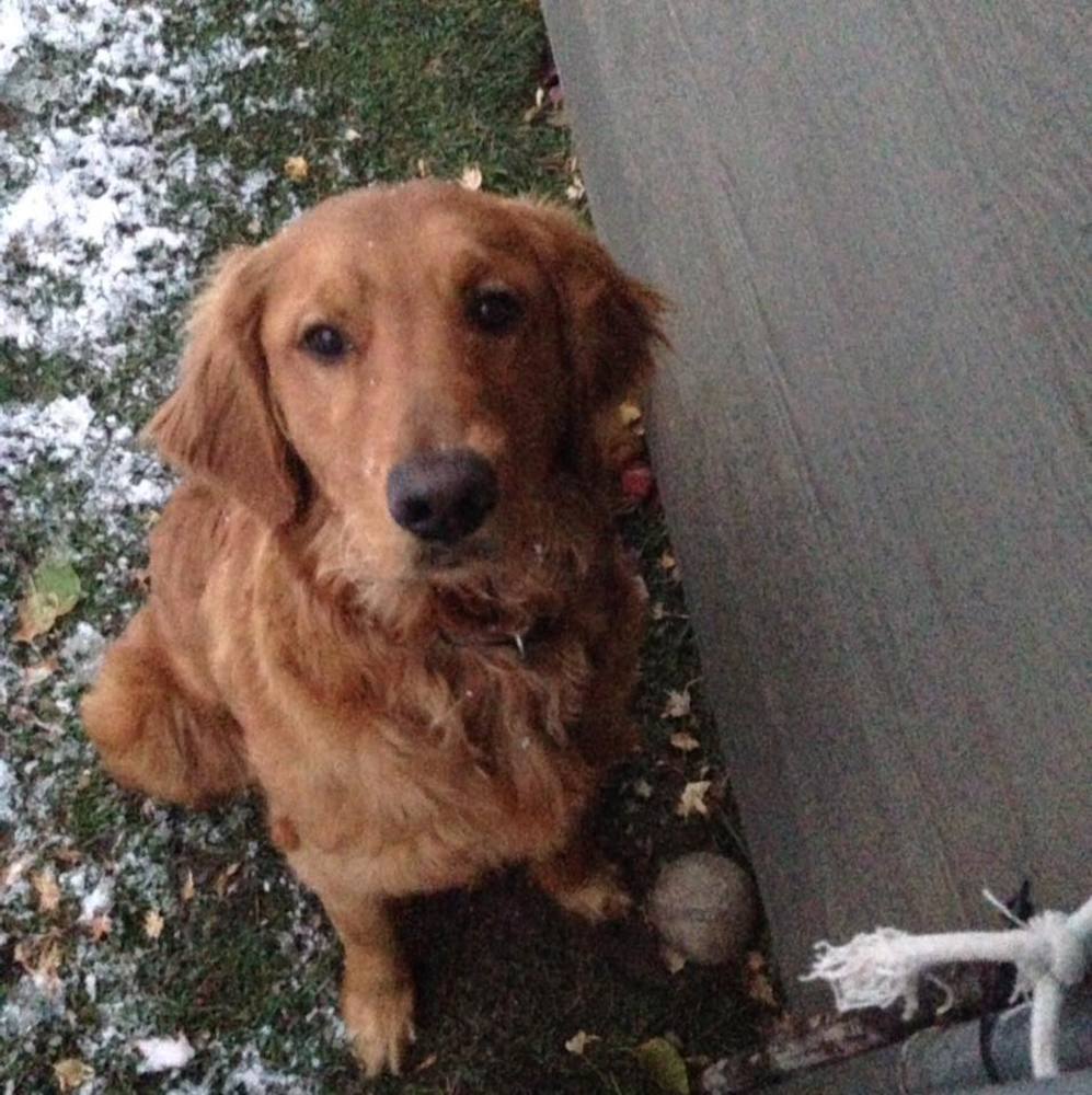 Meet your Posher, Christine